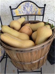 kid butternut squash recipe