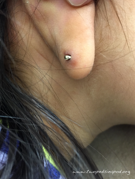 embedded earring back